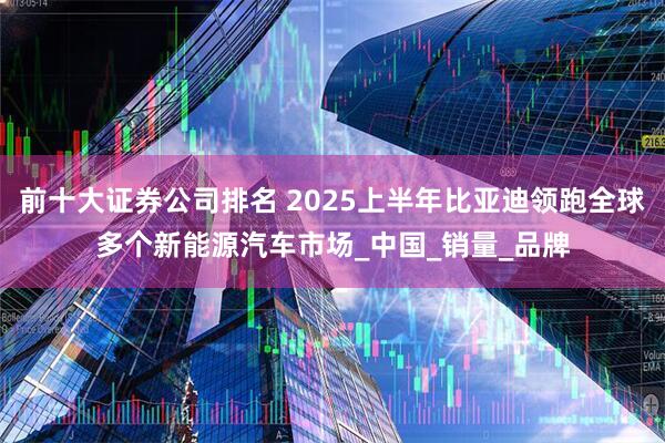 前十大证券公司排名 2025上半年比亚迪领跑全球多个新能源汽车市场_中国_销量_品牌